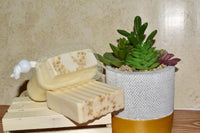 Mesh Soap Saver